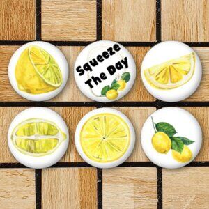 Lemon Theme Fridge Magnets Set Of 6 Metal Magnets For Home Office Kitchen School